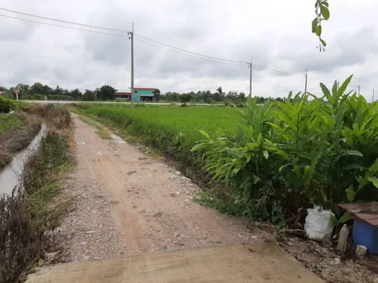 ขายที่ดินติดถนนบ้านกาด สันป่าตอง เชียงใหม่