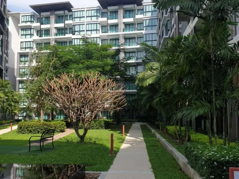 ให้เช่าคอนโดรอยัลลี เทอร์มินอล ภูเก็ต ราคาถูก Condo for rent Royal Terminal Phuket Cheap price