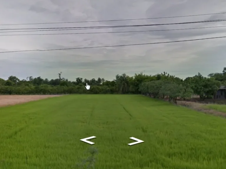 ขายที่ดิน 3 ไร่ 68 ตรว อเมืองฯ ต ตลิ่งชัน จ สุพรรณบุรี