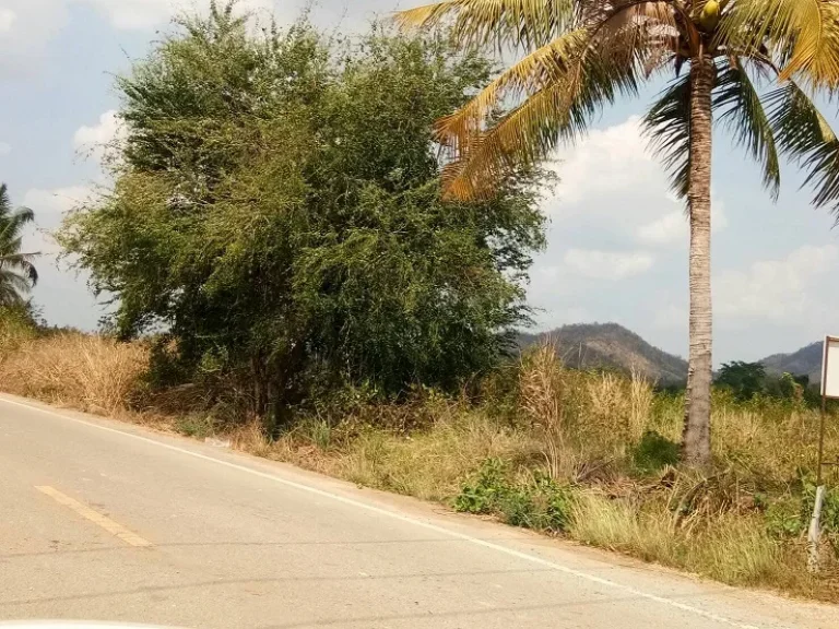 ขายที่ดิน ติดถนนลาดยาง ท่ายาง เพชรบุรี