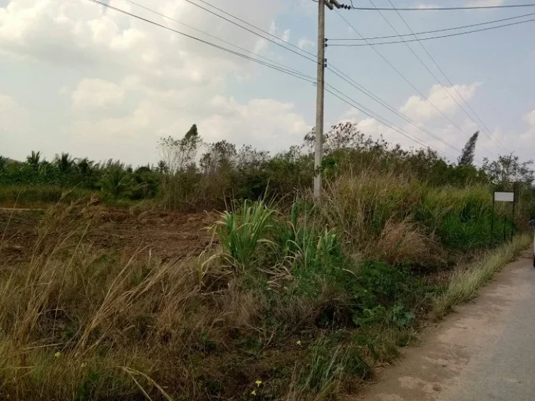 ขายที่ดิน ติดถนนลาดยาง ท่ายาง เพชรบุรี