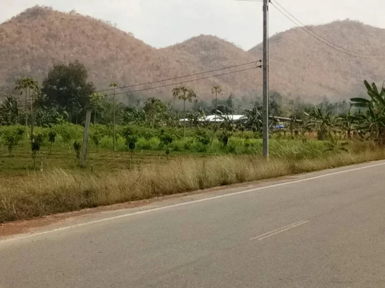 ขายที่ดิน ติดถนนลาดยาง ท่ายาง เพชรบุรี