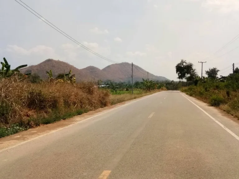 ขายที่ดิน ติดถนนลาดยาง ท่ายาง เพชรบุรี