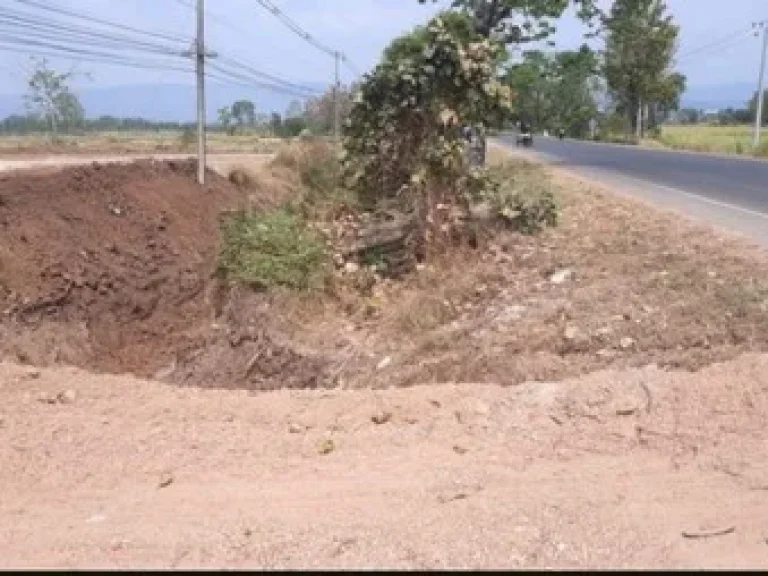 ที่ดินจังหวัดพิษณุโลก มีโฉนด ติดถนนทางหลวง