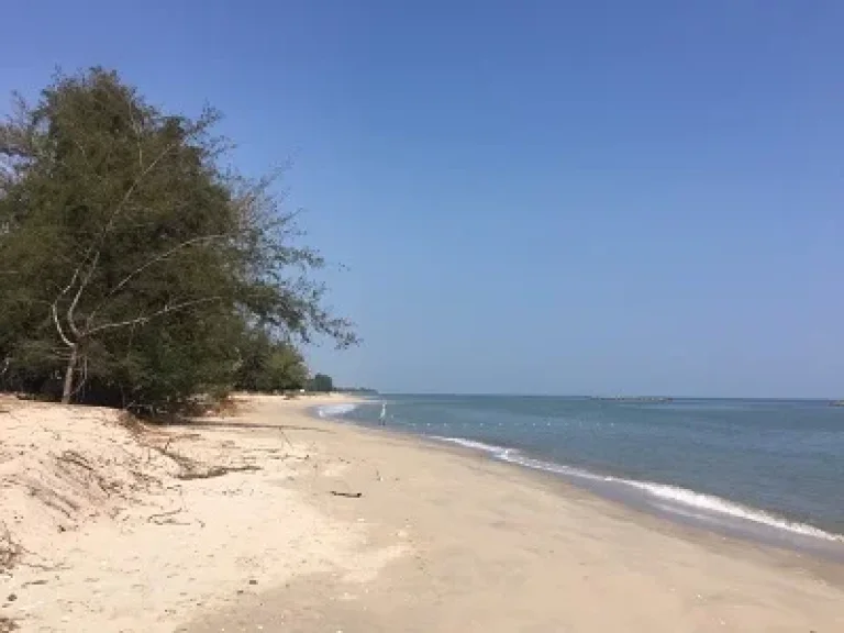 ขายที่ดิน ติดชายทะเลหาดเจ้าสำราญ จังหวัดเพชรบุรี ที่สวยมาก