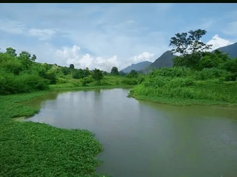 ขายที่ดินติดน้ำ เชียงดาว ใบ สทก ราคาถูก