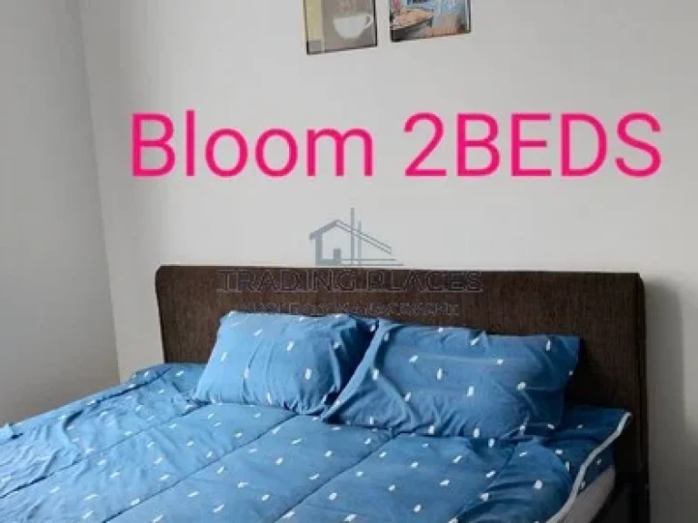 ให้เช่า The Bloom Sukhumvit 71 ขนาด 60ตรม 2 ห้องนอน 24k