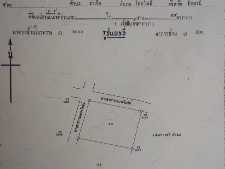 ขายที่ดินยะลา ซนิบงบารู 1 หลังรพสตนิบงบารู ทางไปสวนส้ม เจ้าของขายเองต่อรองได้