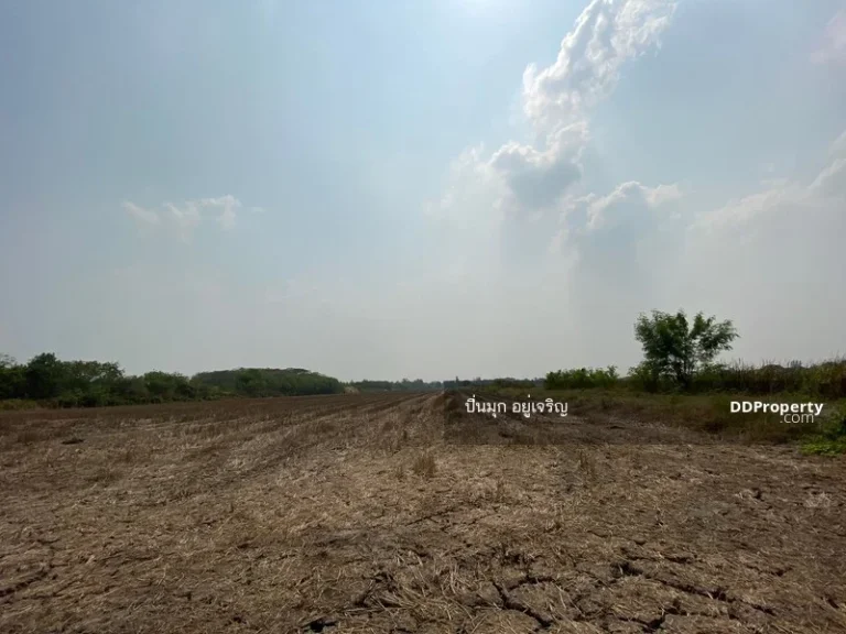 ขายที่ดิน ตำบล ทรายกองดิน ถนนนิมิตรใหม่ 22 กรุงเทพ 3ไร่ 1งาน 44 ตรว