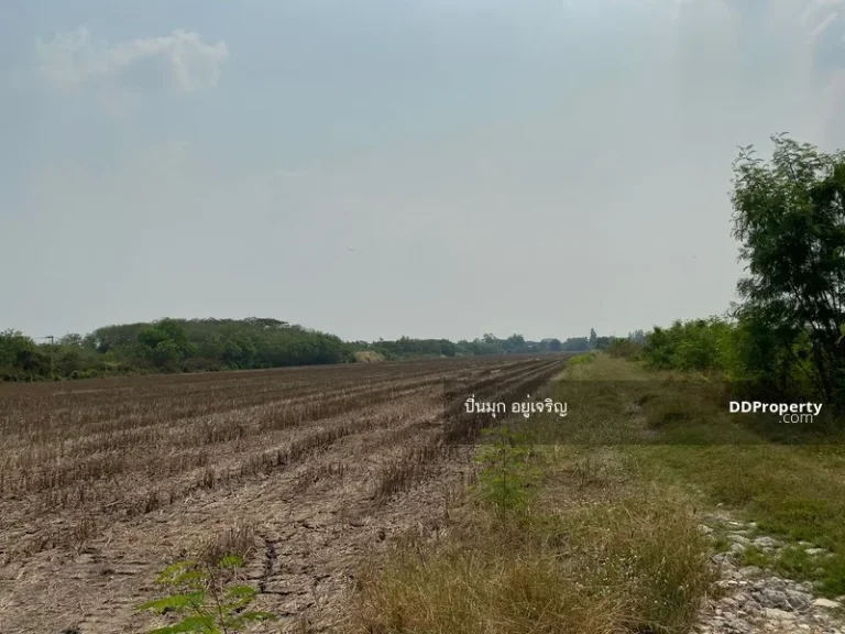 ขายที่ดิน ตำบล ทรายกองดิน ถนนนิมิตรใหม่ 22 กรุงเทพ 3ไร่ 1งาน 44 ตรว