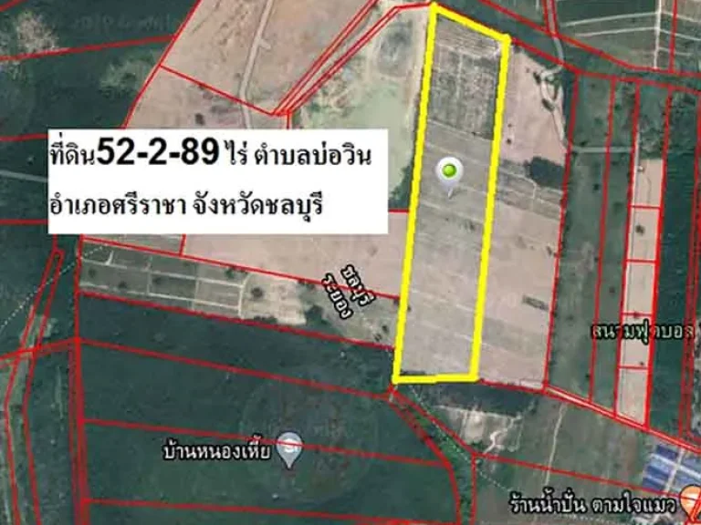 ขายที่ดินพร้อมสวนสับปะรดพันธุ์ศรีราชา 52-2-89ไร่ ใกล้นิคมบ่อวิน เหมาะลงทุน ราคาคุยกันได้ค่ะ