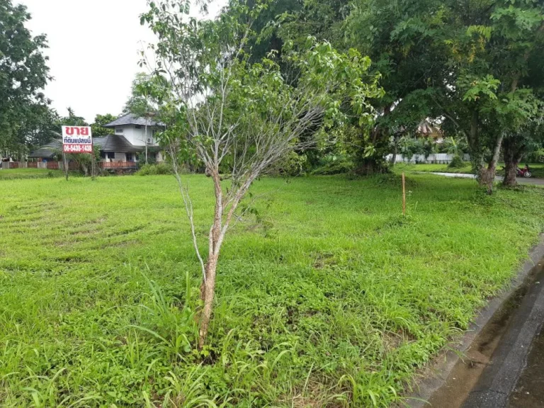 ขายที่ดินติดคลองน้ำในโครงการทางไปสันนาเม็งสันทรายเชียงใหม่