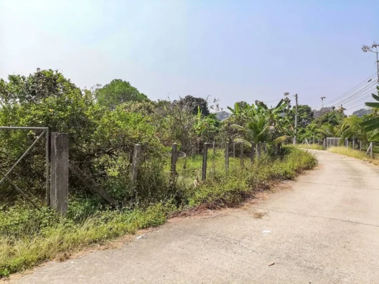 ขายที่ดินเลียบรถไฟสารภีซอย 1 สารภี เชียงใหม่