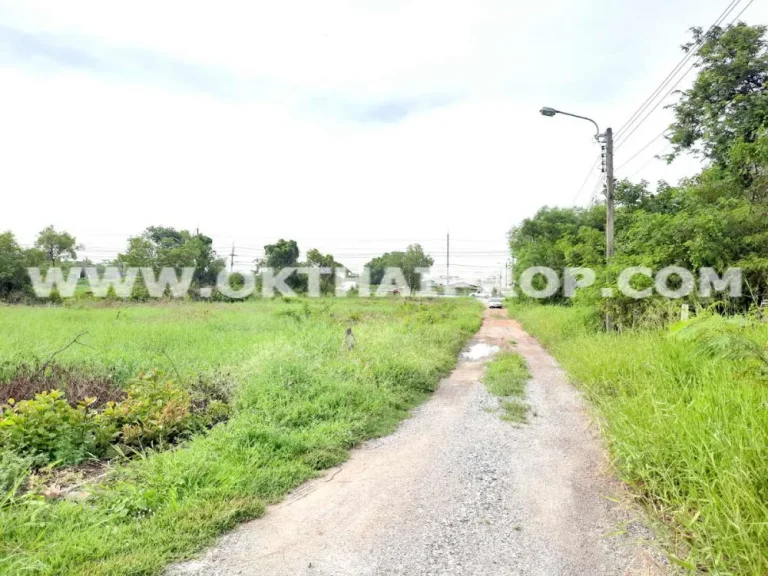 ที่ดิน ซร่วมพัฒนา สุวินทวงศ์ 90 หนองจอก