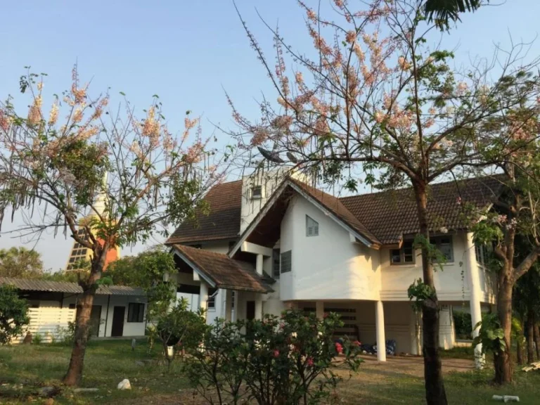 For Rent บ้านเดี่ยว สุขุมวิท1011 ใกล้BTS ปุณณวิถี