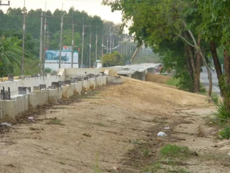 ที่ดินเกาะจันทร์ ตำบลท่าบุญมี