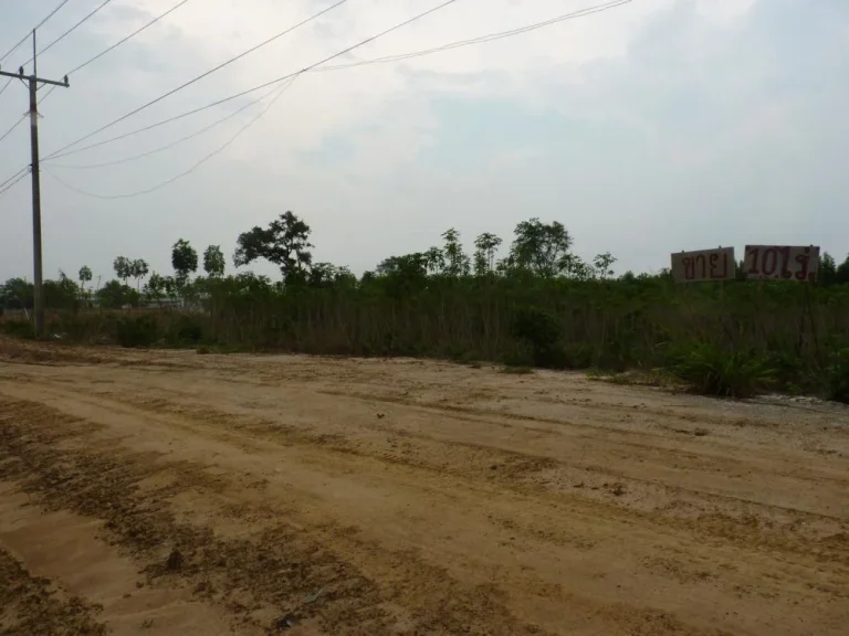 ที่ดินเกาะจันทร์ ตำบลท่าบุญมี