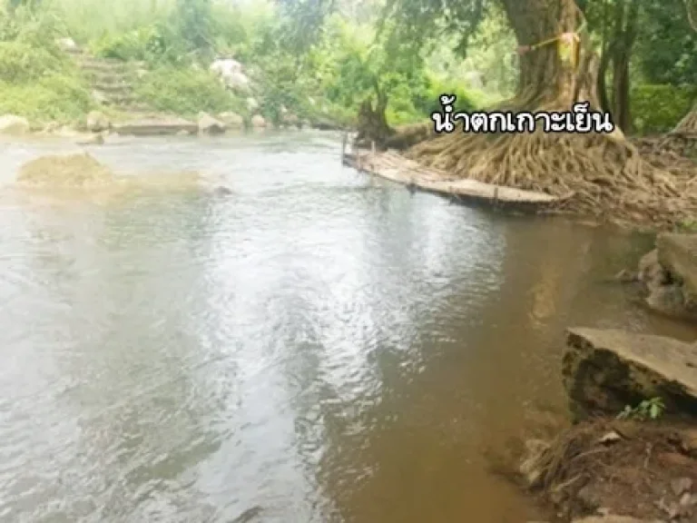 ขายที่ดินติด น้ำตกเกาะเย็น ติดถนนทางหลวง 2224 รีสอร์ทเพ็ญภาค พฤกษ์ธารา ปากช่อง