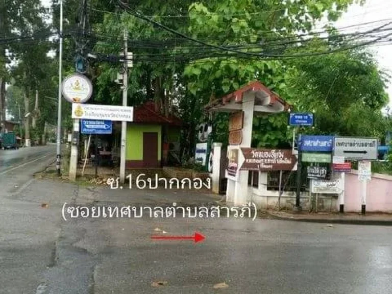 ขายที่ดินปากกอง สารภี ห่างถนนต้นยาง 1km