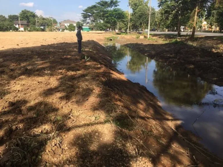 ขายที่ดินห่างวัดร่องขุ่น 3 km เชียงราย