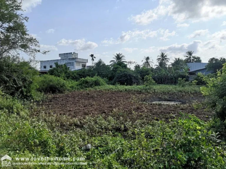 ขายที่ดินเปล่าถนนเพชรเกษม ซอยประชาอุทิศ เมืองหาดใหญ่ จังหวัดสงขลา ทำเลทอง พื้นที่2-2-649ไร่ ขายด่วนมาก ราคาเพียง37ล้าน