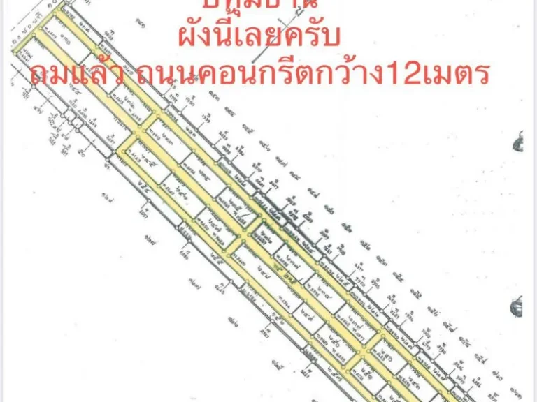 ว๊าว ที่ดินเงินผ่อนราคาถูก เงื่อนไขง่ายโปรใหม่ ราคาเดียว วันเดียว ที่หนองเสือ T062-1574449