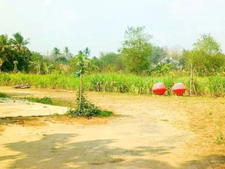 ขายที่ดินติดถนนหลังติดน้ำตกแม่สา เชียงใหม่