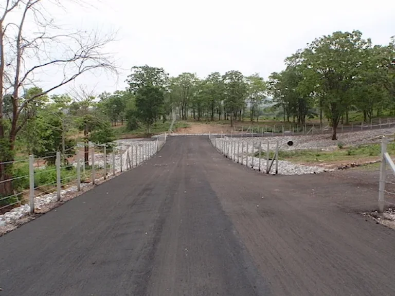 แบ่งขายที่ดินสวยพัฒนาอย่างดี Mount-de-Moray บนที่เนินเขาสูงกว่า 450 เมตร ระดับน้ำทะเล แบ่งขายเหลือเพียง 3 แปลงเท่านั้น