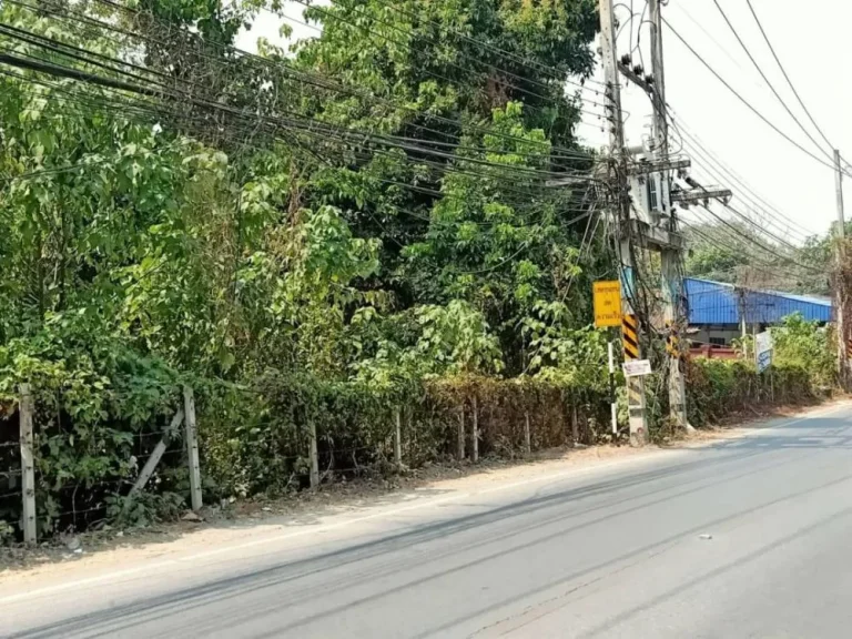 ขายที่ดินติดถนนสองด้าน ป่าตัน เขตเมืองเชียงใหม่