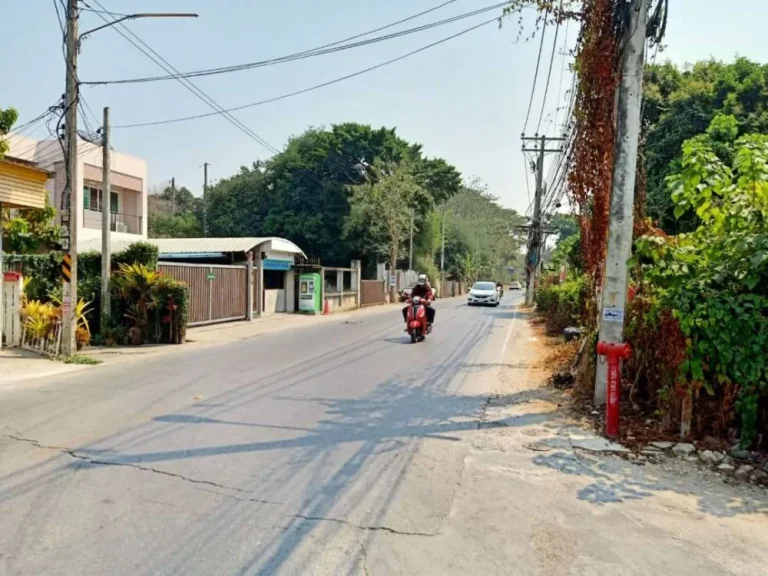 ขายที่ดินติดถนนสองด้าน ป่าตัน เขตเมืองเชียงใหม่