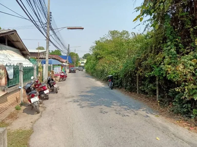 ขายที่ดินติดถนนสองด้าน ป่าตัน เขตเมืองเชียงใหม่