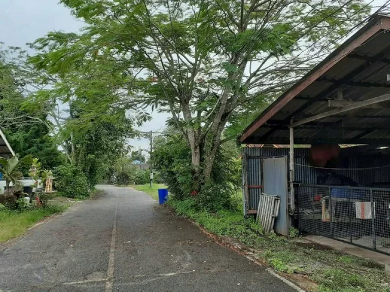 ขาย ที่ดิน ตำบลบ้านน้ำเค็ม อำเภอตะกั่วป่า จังหวัดพังงา