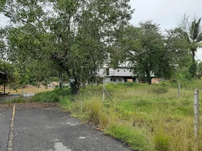 ขาย ที่ดิน ติดคลอง บ้านน้ำเค็ม ตะกั่วป่า พังงา ถูกมาก