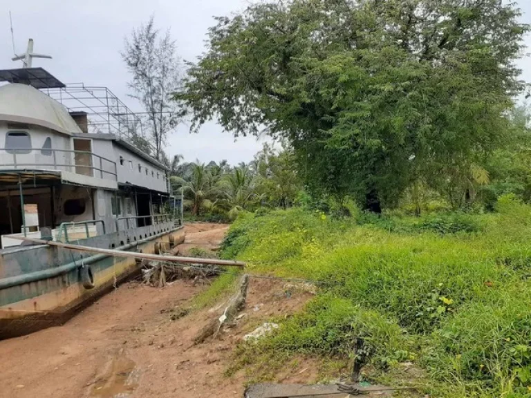 ขาย ที่ดิน ติดคลอง บ้านน้ำเค็ม ตะกั่วป่า พังงา ถูกมาก