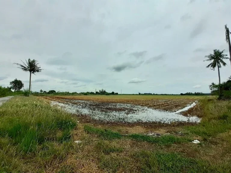 ขาย ที่ดิน บางเลน บางปลา บางภาษี จังหวัดนครปฐม พร้อมโอน