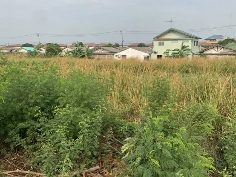 ขายที่ดิน ปทุมธานี ติดถนนใหญ่ สวยมาก เหมาะกับการสร้างคอนโดหรือโครงการบ้าน