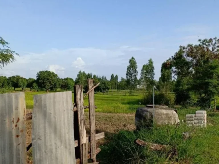 ขายที่ดินตำบลท่าพระ ใกล้สถาณีรถไฟท่าพระ อยู่ตรงข้ามกับโรงงานเบียร์สิงห์ขอนแก่น 15ไร่3งาน82ตารางวา