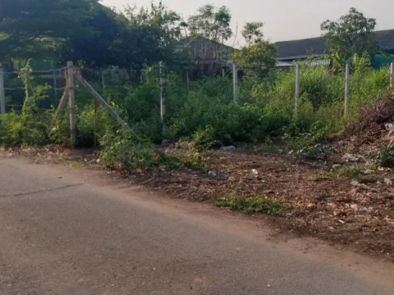 ขายที่ดินห่างถนนหลัก 200เมตรหนองป่าครั่ง เชียงใหม่