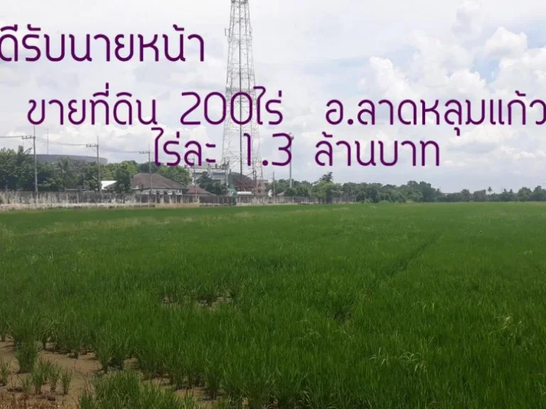 ประกาศขายที่ดิน 200ไร่ อลาดหลุมแก้ว ไร่ละ 13 ล้านบาท 260ล้านบาท