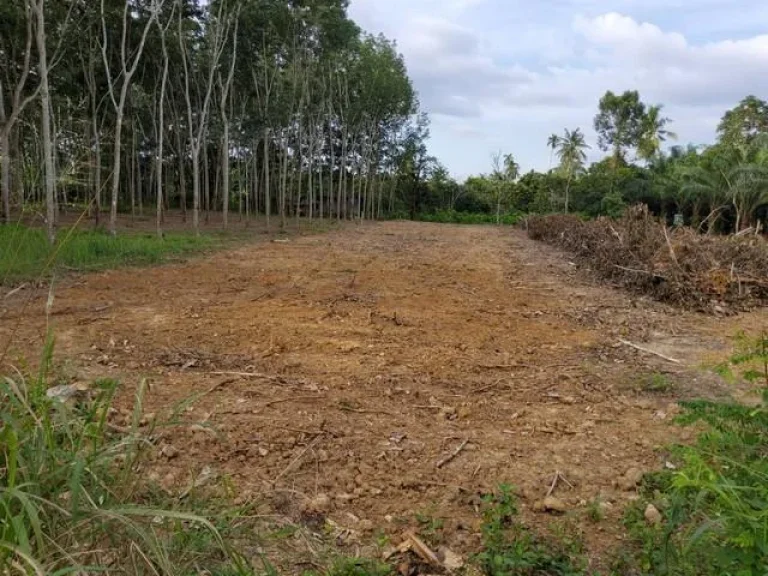 ที่ดิน 100 ตรว ต วัดประดู่ เมือง สฎ