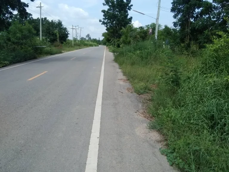 ขายที่ดินสวย5ไร่ติดถนนลาดยางไฟฟ้าน้ำสะดวกขายถูกๆๆ