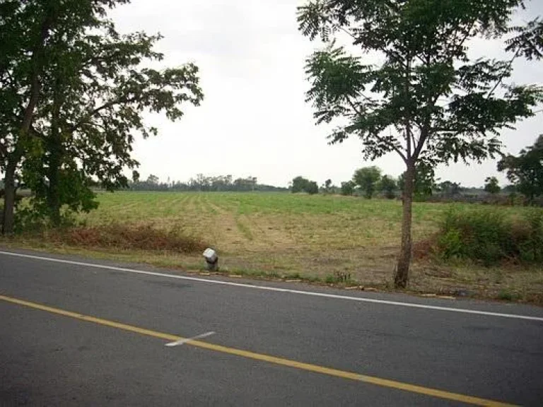 ที่ดินโฉนด18ไร่ติดถนนลาดยาง บเขาดิน อโคกสำโรง จลพบุรี