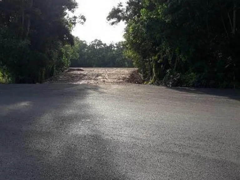 Nice Land 3 Rais for sale near Beach just 150 m to sea with Chanote very special price Real now