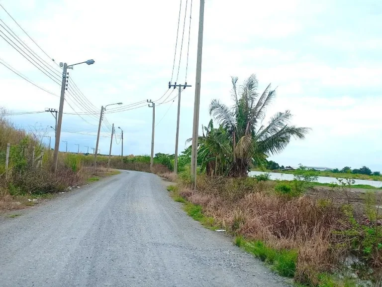 ขายที่ดิน 21 ไร่ ใกล้โรงเรียนบางบ่อวิทยา ถนนบางนา-ตราด กม29 อบางบ่อ จสมุทรปราการ