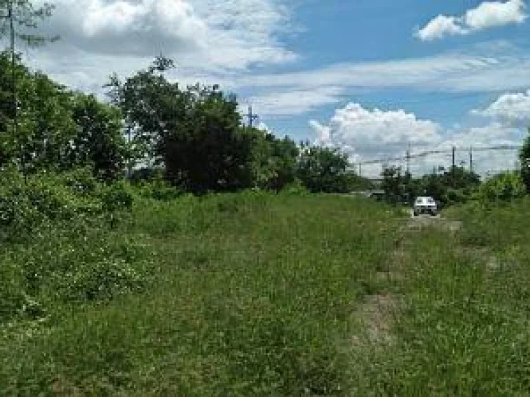 sale large land 76 Rais not far Bang Pa Kong River 60 m only Chacheongsao near Motoy Way