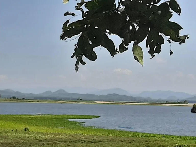 ขายที่ดินติดน้ำ อ่างประแสร์ ไม่มีถนนคั่น โฉนด 2 ไร่ เหมาะสำหรับ ทำบ้านพักอากาศ หรือ โฮมสเตย์