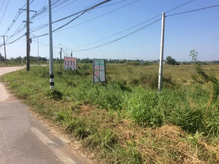 ขายที่ดินทำเลดี เนื้อที่ 2 ไร่ 190 ตรว ติดถนนบายพาส อแกลงตัดใหม่ ออกถนนสุขุมวิท ทำเลดีมาก