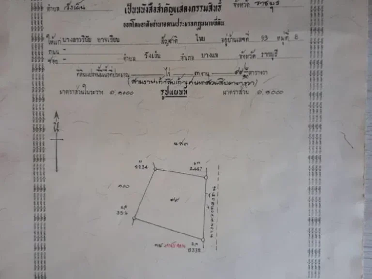 ขายที่ดิน 1 ไร่