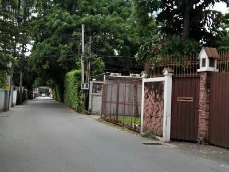 Small Land for Rent in middle soi surrounded single house Sukhuvmvit71