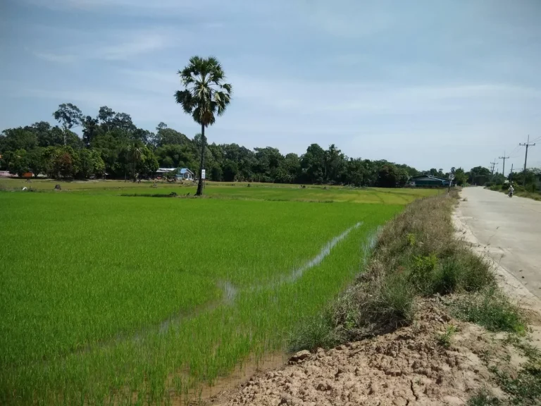 ประกาศขายที่ดิน10ไร่เป็นที่นาขายไร่ล่ะ750000